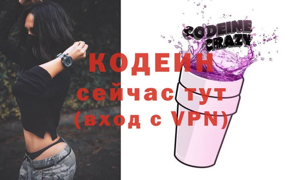 индика Заречный