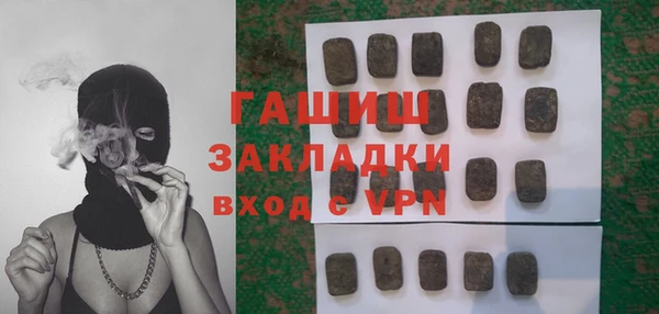 хмурый Бородино