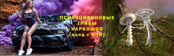 хмурый Бородино