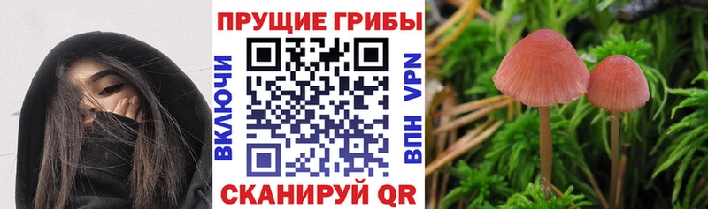 Псилоцибиновые грибы GOLDEN TEACHER  Иланский 